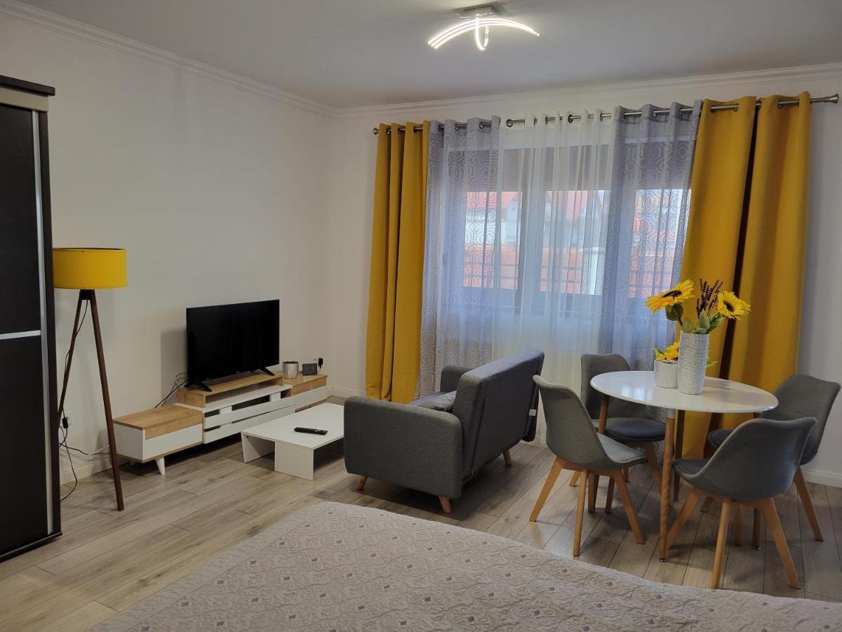 Appartement Concept Urban à Mediaş Extérieur photo