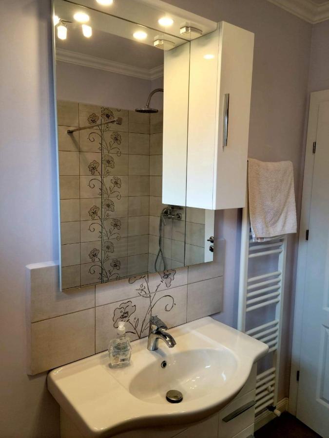 Appartement Concept Urban à Mediaş Extérieur photo